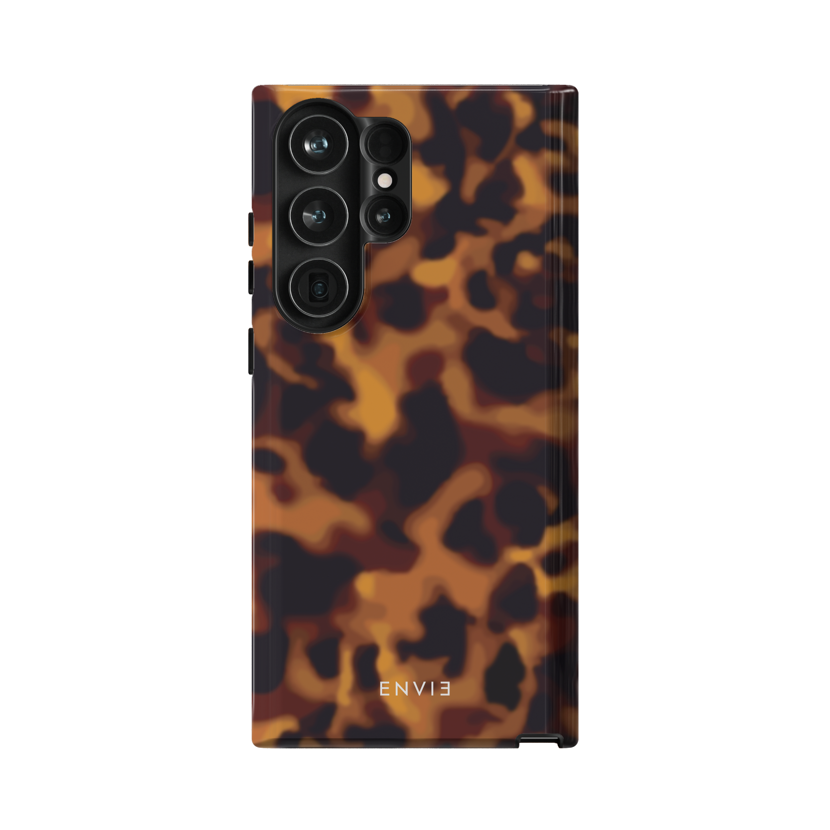 Tortoise Shell